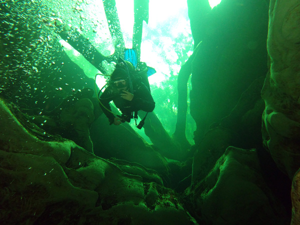 Dayo Scuba Center LLC, Orlando Florida www.dayo.com