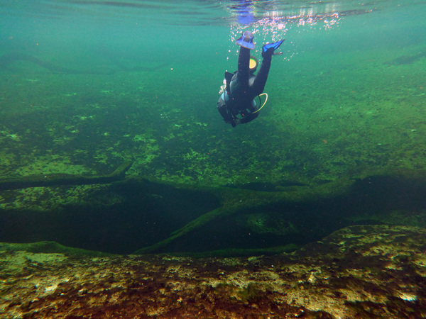 Dayo Scuba Center LLC, Orlando Florida www.dayo.com