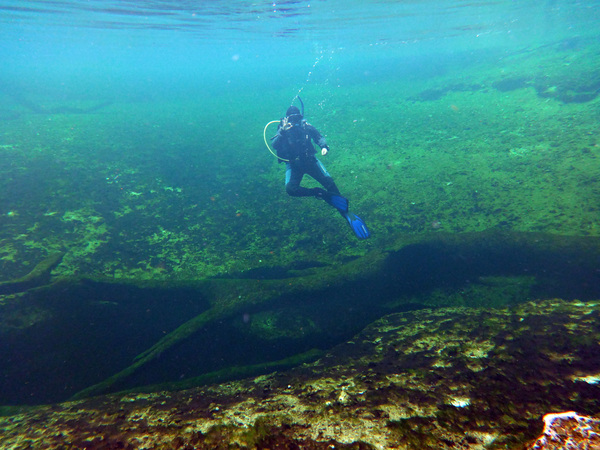 Dayo Scuba Center LLC, Orlando Florida www.dayo.com