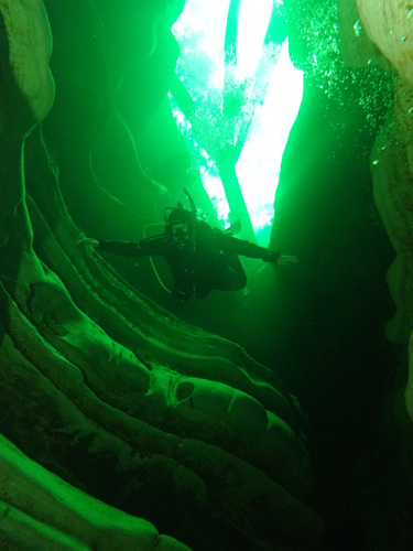 Dayo Scuba Center LLC, Orlando Florida www.dayo.com