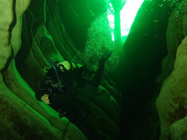 Dayo Scuba Center LLC, Orlando Florida www.dayo.com
