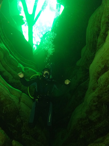 Dayo Scuba Center LLC, Orlando Florida www.dayo.com