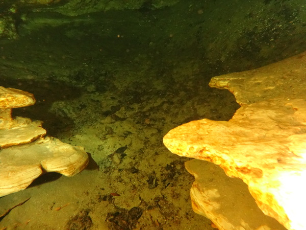 Dayo Scuba Center LLC, Orlando Florida www.dayo.com